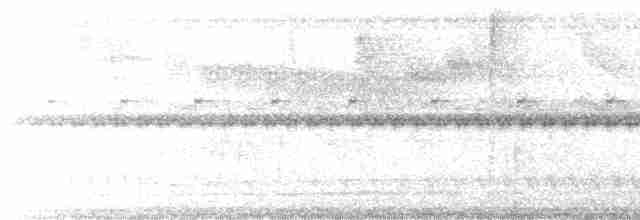 Undulated Tinamou - ML612586920