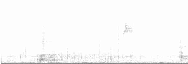 Weißscheitel-Olivtyrann - ML612588386