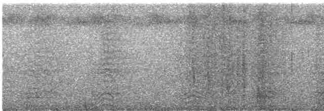 Гребенечуб гвіанський - ML612590156