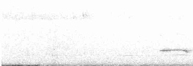 Пестрогорлая гевара - ML612592407