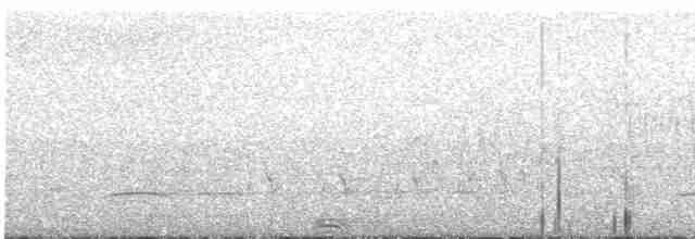 Пірникоза-голіаф - ML612593114
