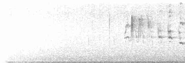 orel bělohlavý - ML612595276