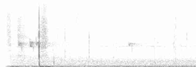 Шишкар ялиновий - ML612595308