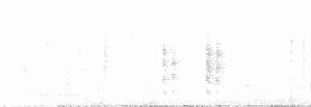 vestblåfugl - ML612596501