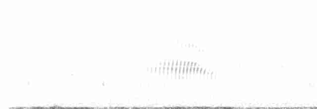 Wailing Cisticola (Wailing) - ML612597299