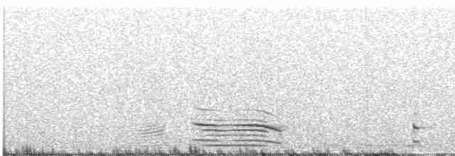 אווז הוואי - ML612599525