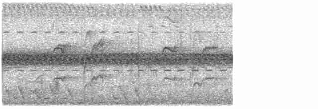 Graustirn-Dickichtschlüpfer - ML612600568