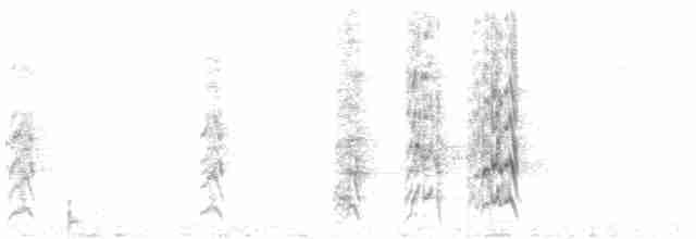Turuncu Alınlı Papağan - ML612600596