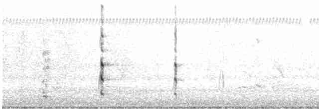 פנינית הקסדה (פליטת תרבות) - ML612600978