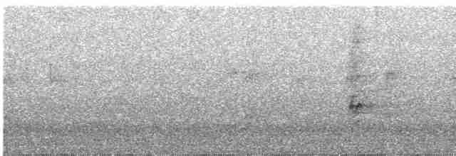 斑文鳥 - ML612601286