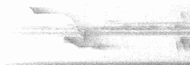 Undulated Tinamou - ML612602508