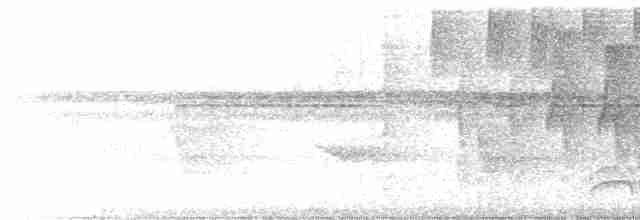 Gri Başlı Tangara - ML612606006