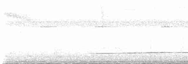 Gözlüklü Yerçavuşu - ML612606350