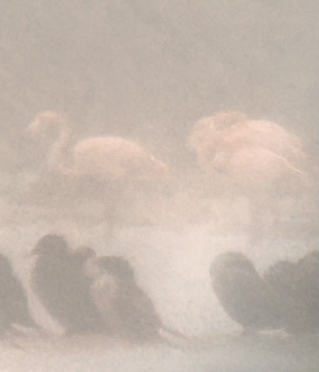 eBird Checklist 24 Dec 2023 Merritt Island NWR (Please consider