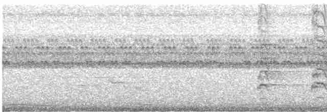 Synallaxe à gorge rousse - ML612606628