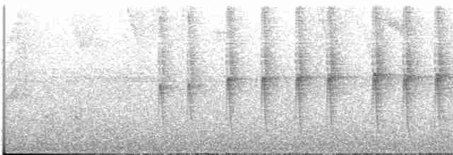 Пилоклювый колибри-отшельник - ML612606637