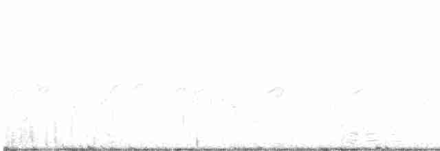 grånakkefjellfink (littoralis) - ML612606911