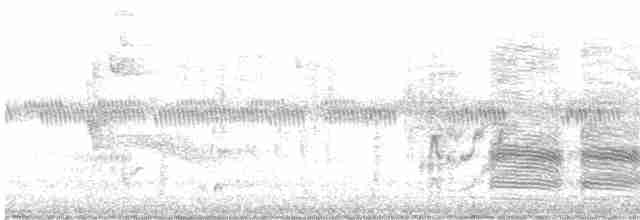 Chara de Beechey - ML612607529