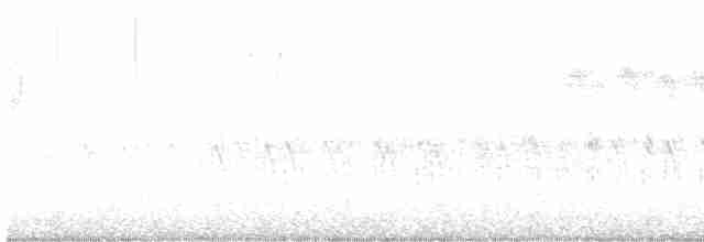 Red Crossbill (Western Hemlock or type 3) - ML612609165