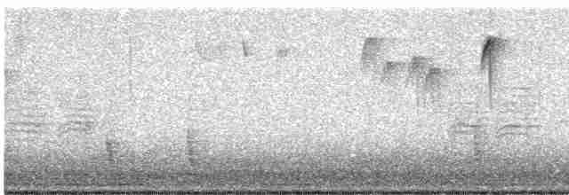 Hermit Thrush (faxoni/crymophilus) - ML612609970