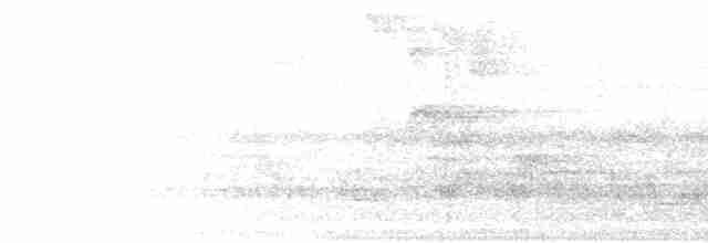 Тиран темноголовий - ML612613015