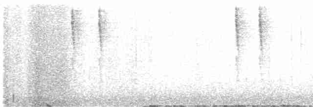 Troglodyte de Baird - ML612617068