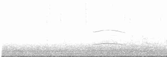 Boz Başlı Sinekkapan - ML612619673