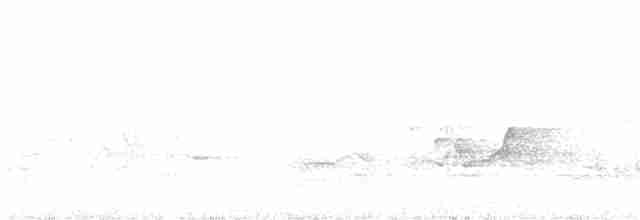Hawaii-Sichelkleidervogel - ML612622280
