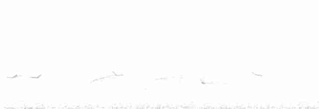 Hawaii-Sichelkleidervogel - ML612622281