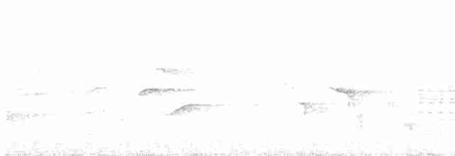 Hawaii-Sichelkleidervogel - ML612622291