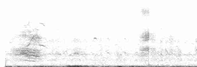 裏海燕鷗 - ML612622954