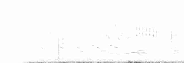 חרגולן סיבירי - ML612623003