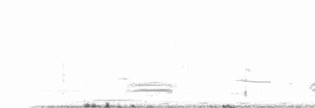 חרגולן סיבירי - ML612623004