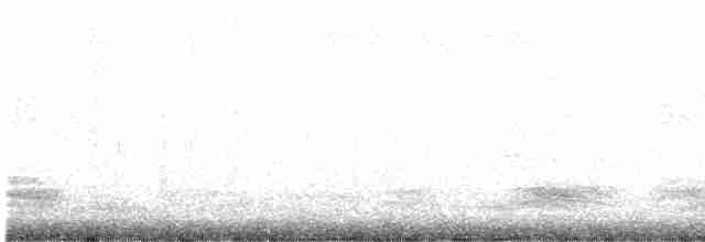 Малая тиркушка - ML612625031