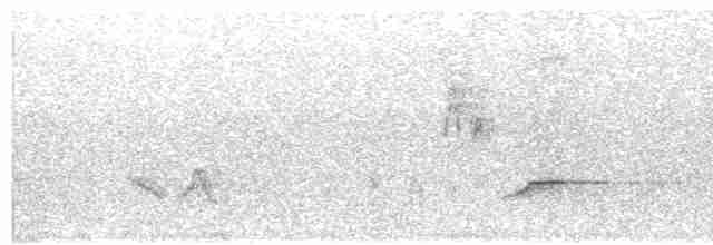 Пароарія чубата - ML612626121