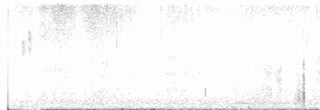 Arctic Warbler - ML612626694