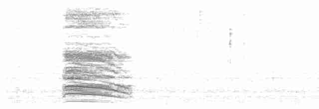 Пересмішник сірий - ML612633650