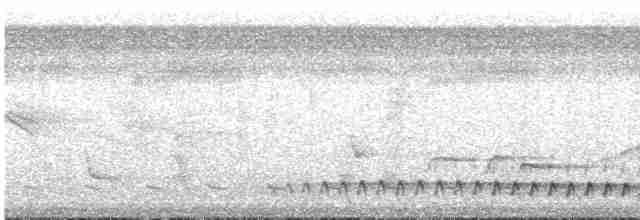 Grallaire oreillarde - ML612633931
