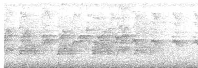 Австралийская султанка - ML612638017