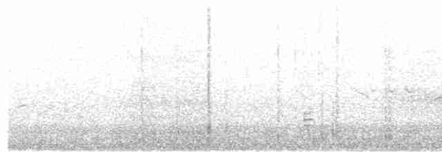 Чернолицый ибис - ML612638495