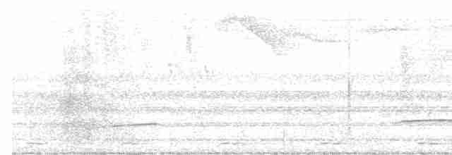 Кустарниковая кукушка (sepulcralis/everetti) - ML612644569