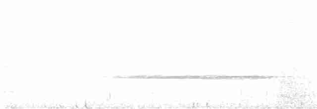 Turuncu Ardıç - ML612646674