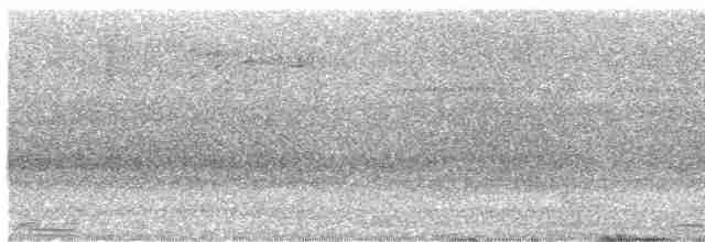 Белоухая горлица (nigrorum) - ML612651498