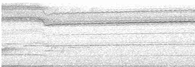 Papamoscas de Manglar - ML612651561