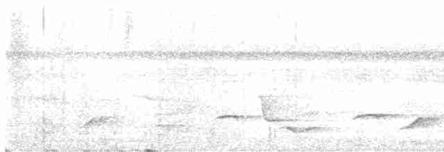 White-vented Whistler (Cebu) - ML612652396