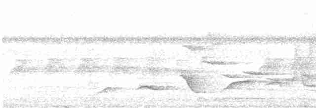 White-vented Whistler (Cebu) - ML612652433