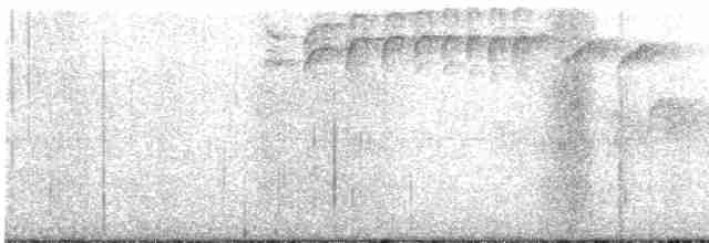 Kestane Karınlı Baştankara - ML612652864