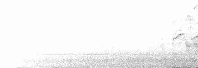 Горихвістка водяна - ML612653894