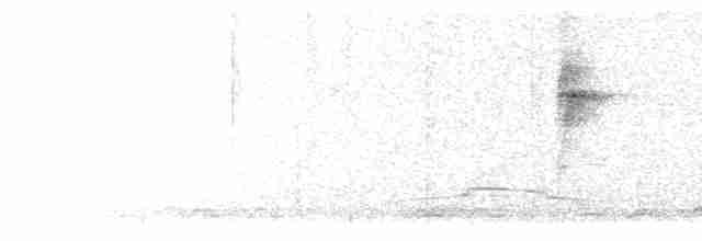 Kara Gerdanlı Nektarkuşu - ML612654153