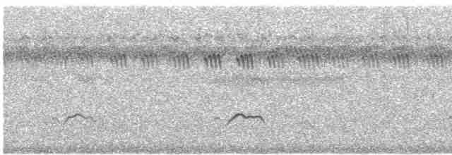 太平洋金斑鴴 - ML612655646